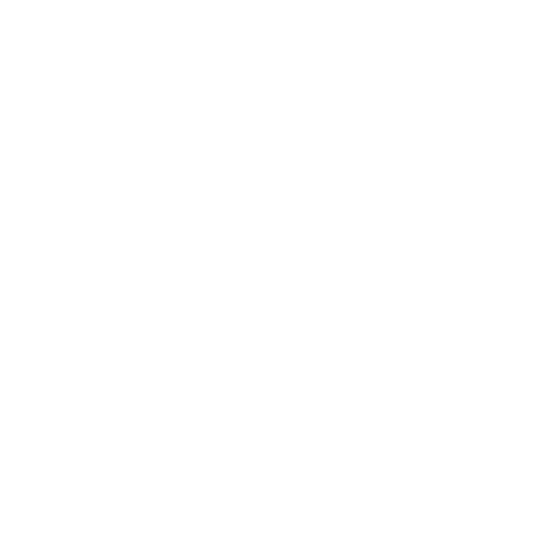 Sir Edmund Hillary Explorer